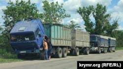 Грузовики на херсонских номерах с зерном из оккупированных областей Украины, Крым, 8 июня 2022 года