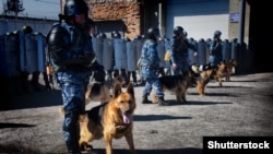 В районе проведения учений могут быть перекрыты проезжая часть и пешеходные зоны