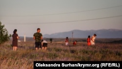 Лавандовое поле в селе Тургеневка Бахчисарайского района, Крым, 2019 год